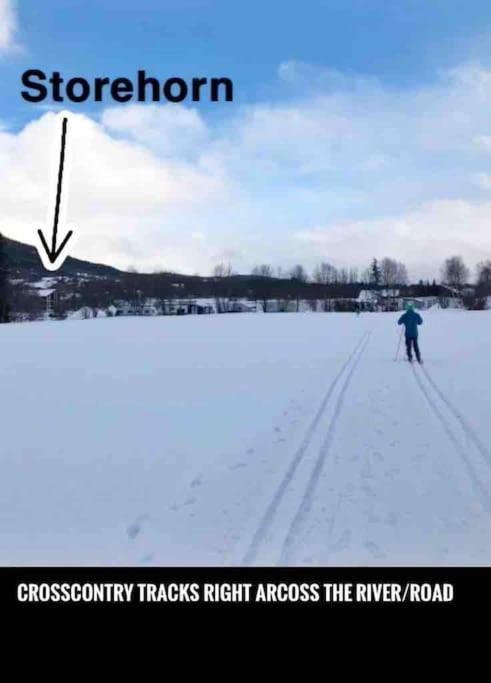 Storehorn Apartments Hemsedal Zewnętrze zdjęcie